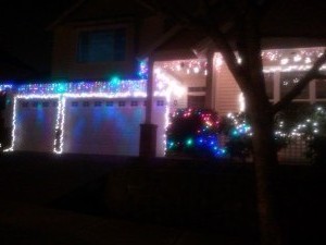 2012 Holiday Light - 2nd Place